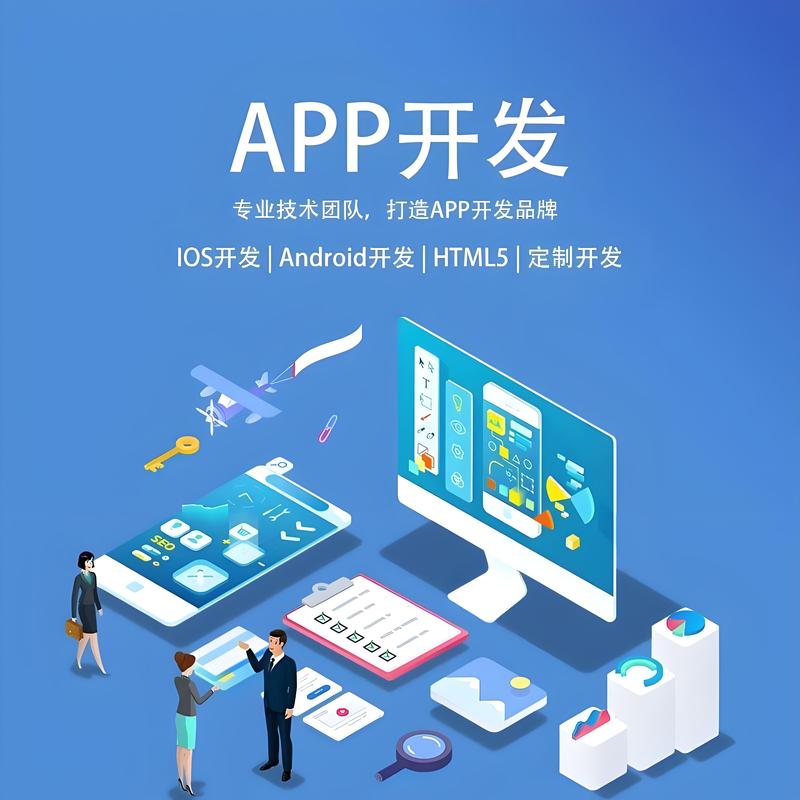 温州软件开发：打造未来之桥